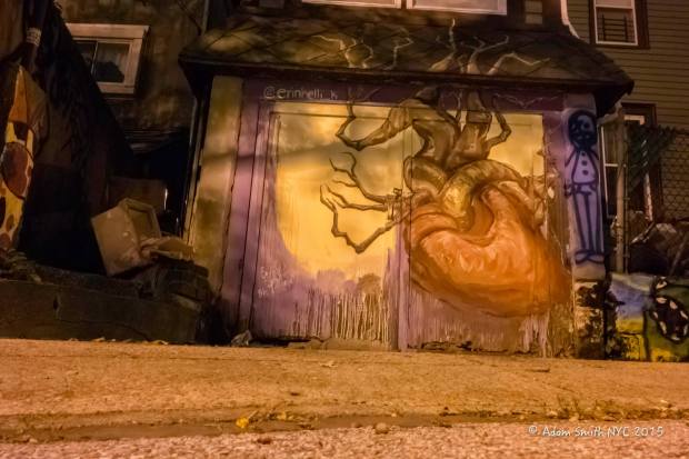 12030497_1635941776678601_110043621872738203_o